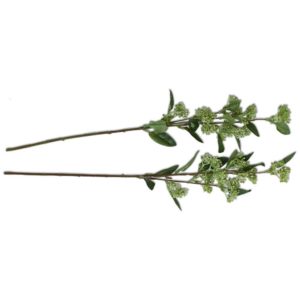 Guillermina set x 2 unidades