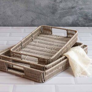 Bandejas Vison set x 3