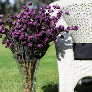 Mini Rositas Violetas