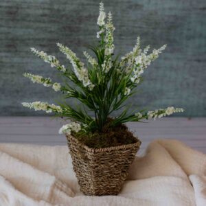 Cesta Lavanda Blanca